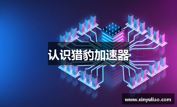 认识猎豹加速器